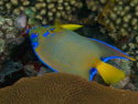Aruba