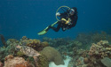 Bonaire